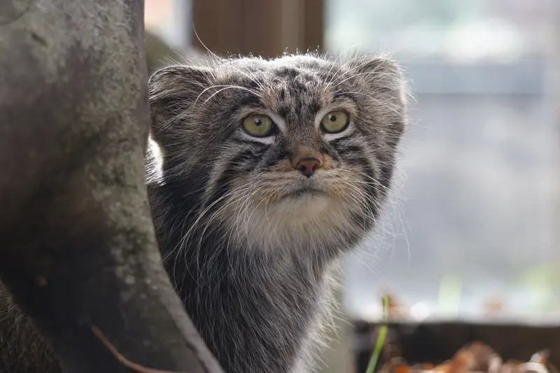 A photograph of Timofey in Moscow zoo