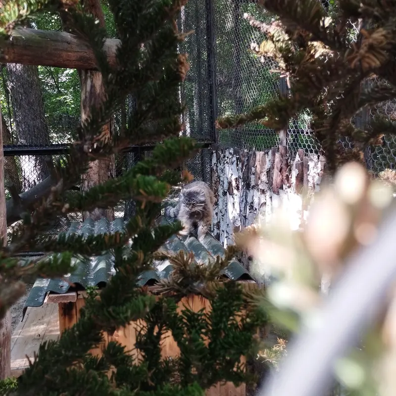 A photograph of Zelenogorsk in Novosibirsk Zoo