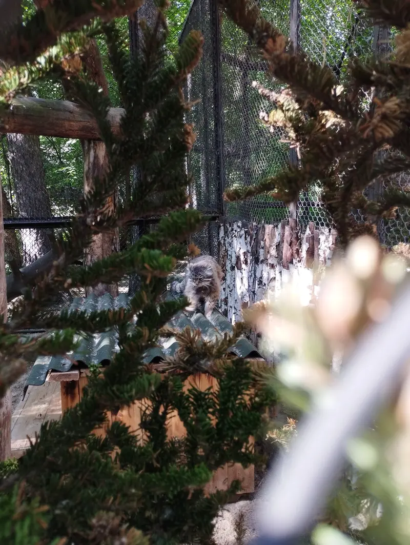 A photograph of Zelenogorsk in Novosibirsk Zoo