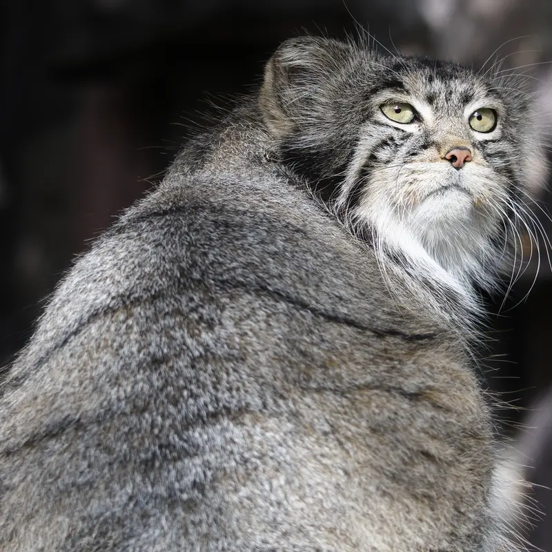 A photograph of Timofey in Moscow zoo