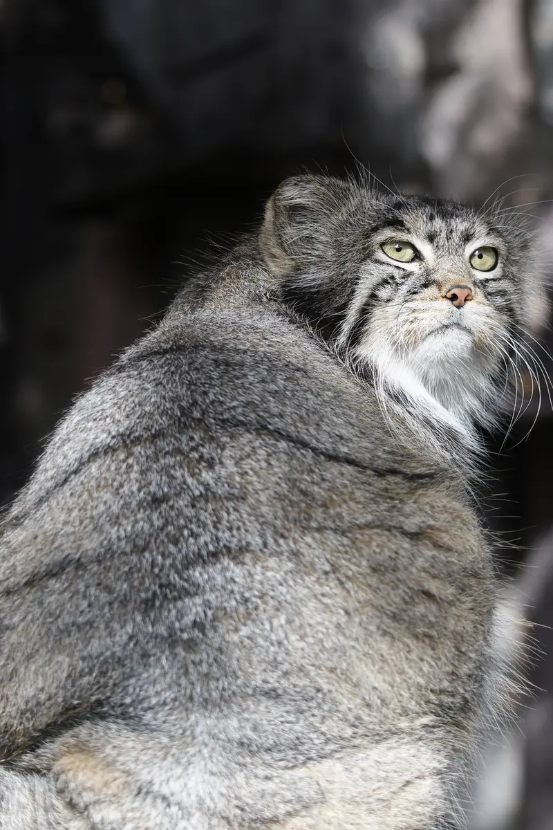 A photograph of Timofey in Moscow zoo