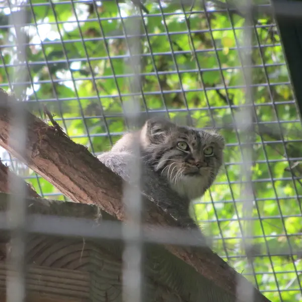 A photograph of Karl-Heinz in Saarbrücken Zoo