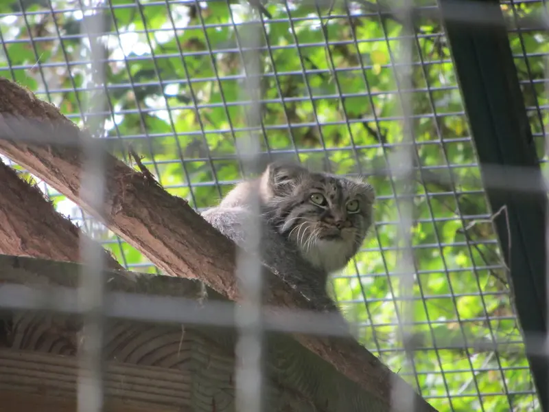 A photograph of Karl-Heinz in Saarbrücken Zoo