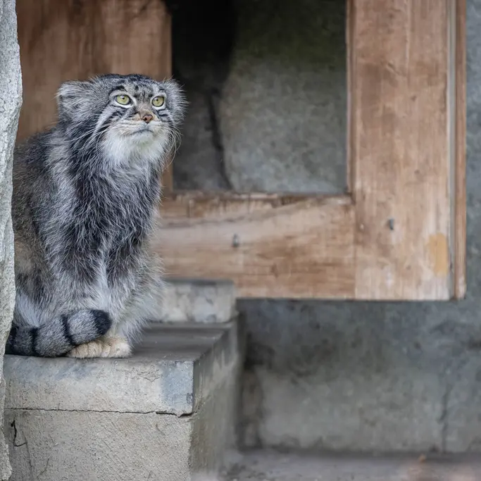 A photograph of Timofey in Moscow zoo