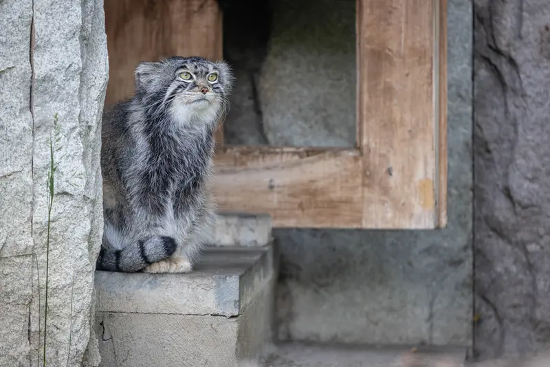 A photograph of Timofey in Moscow zoo
