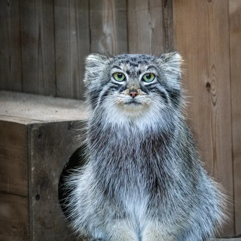 A photograph of Anya in Novosibirsk Zoo