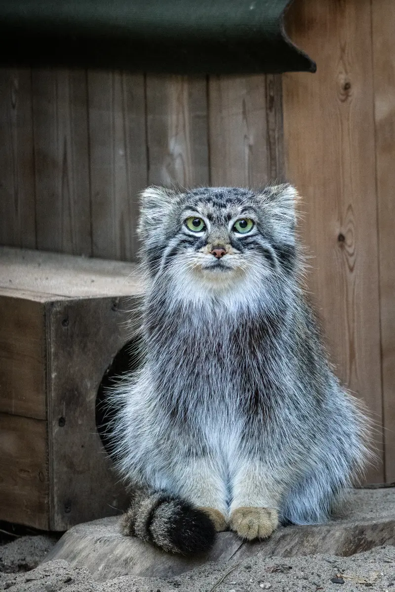 A photograph of Anya in Novosibirsk Zoo