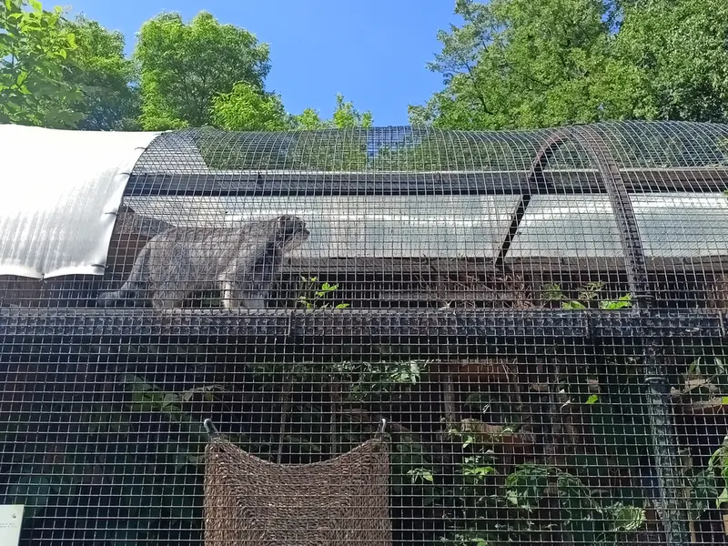 A photograph of Shu in Leningrad zoo