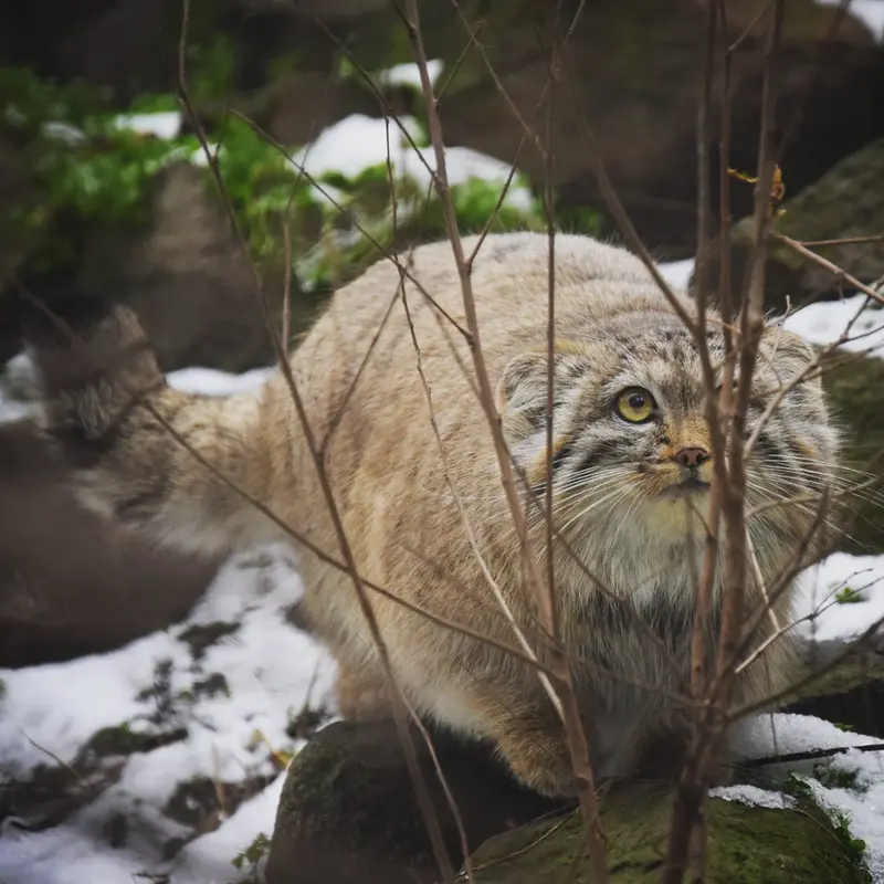 A photograph of Lucy in Budapest Zoo &amp; Botanical Garden