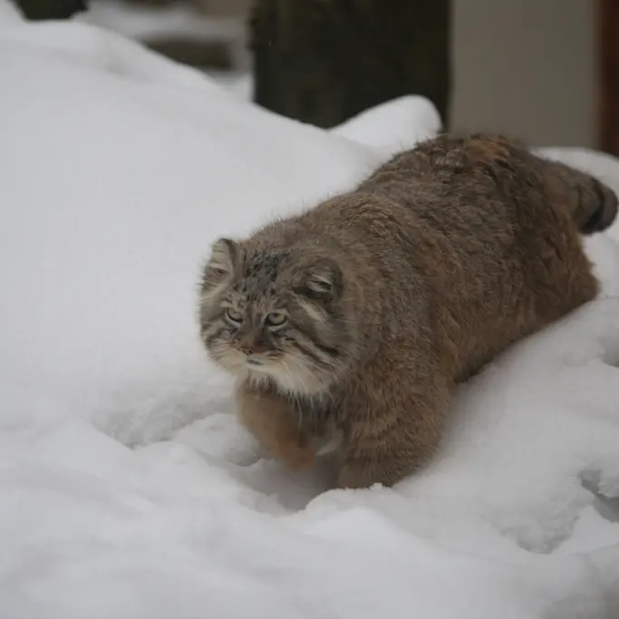 A photograph of Manuel in Gdansk Zoo