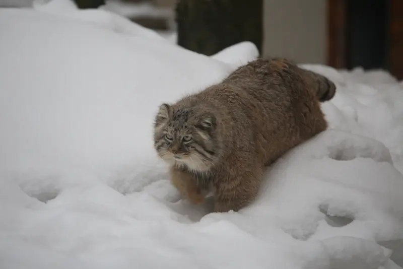 A photograph of Manuel in Gdansk Zoo