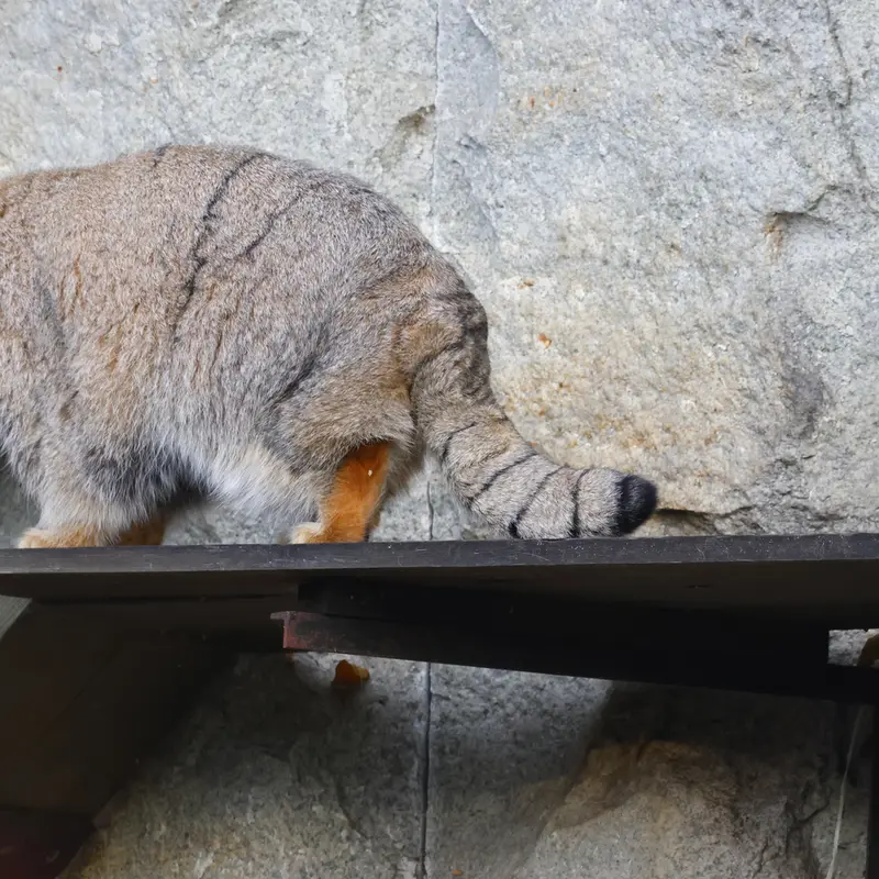 A photograph of Timofey in Moscow zoo