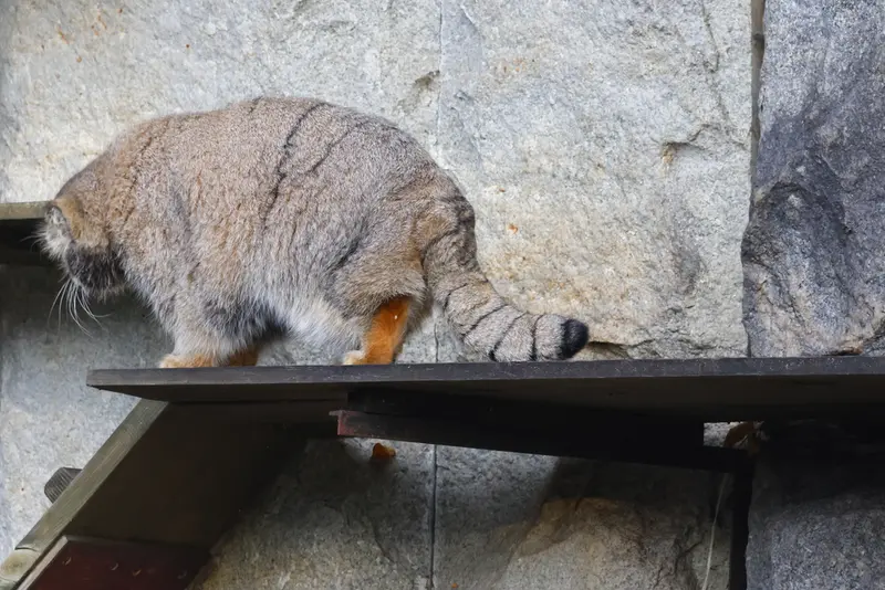 A photograph of Timofey in Moscow zoo