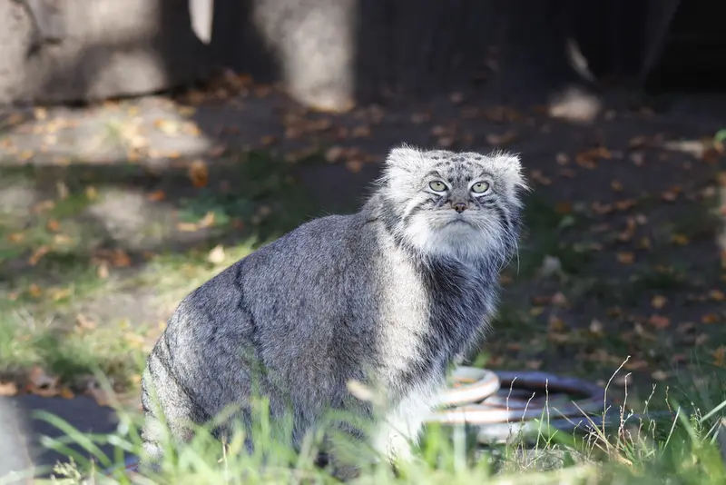 A photograph of Timofey in Moscow zoo