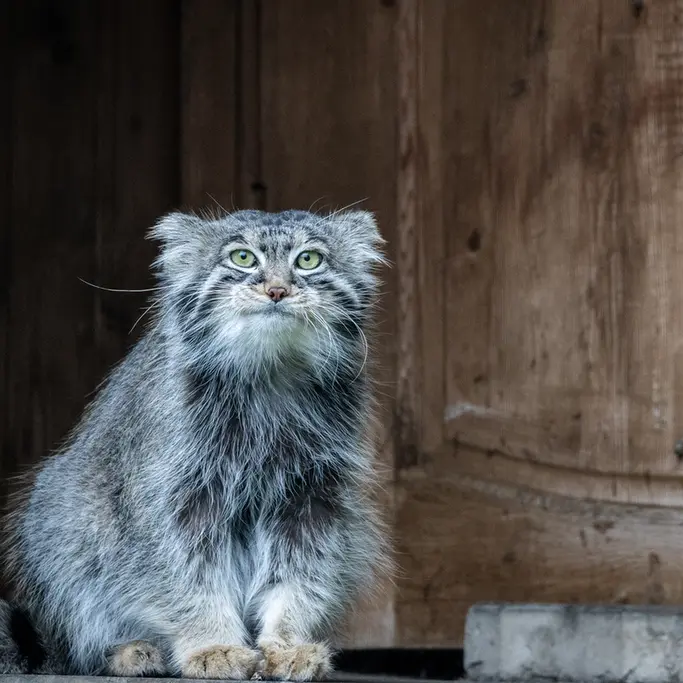 A photograph of Timofey in Moscow zoo