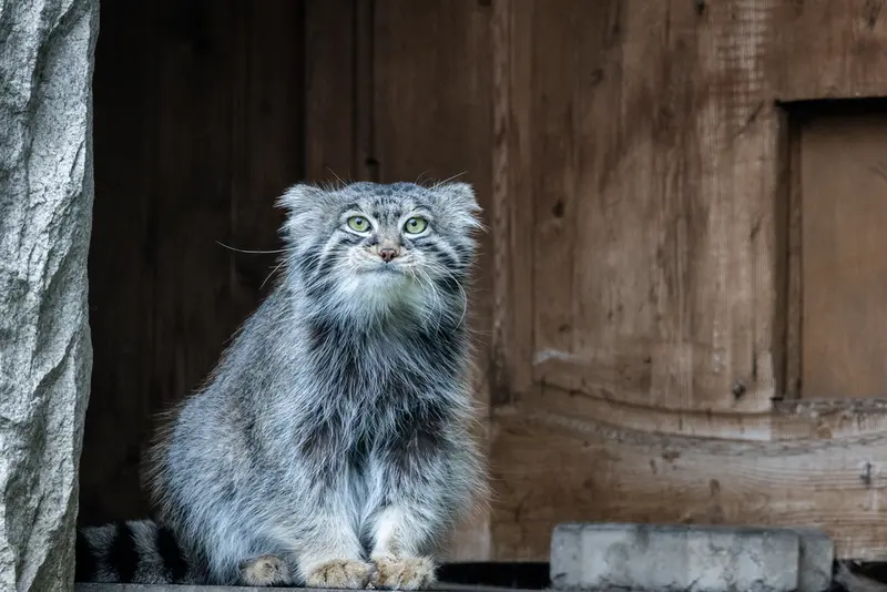 A photograph of Timofey in Moscow zoo