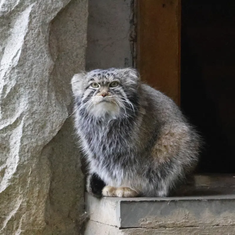 A photograph of Timofey in Moscow zoo