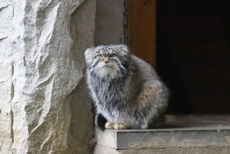 A photograph of Timofey in Moscow zoo