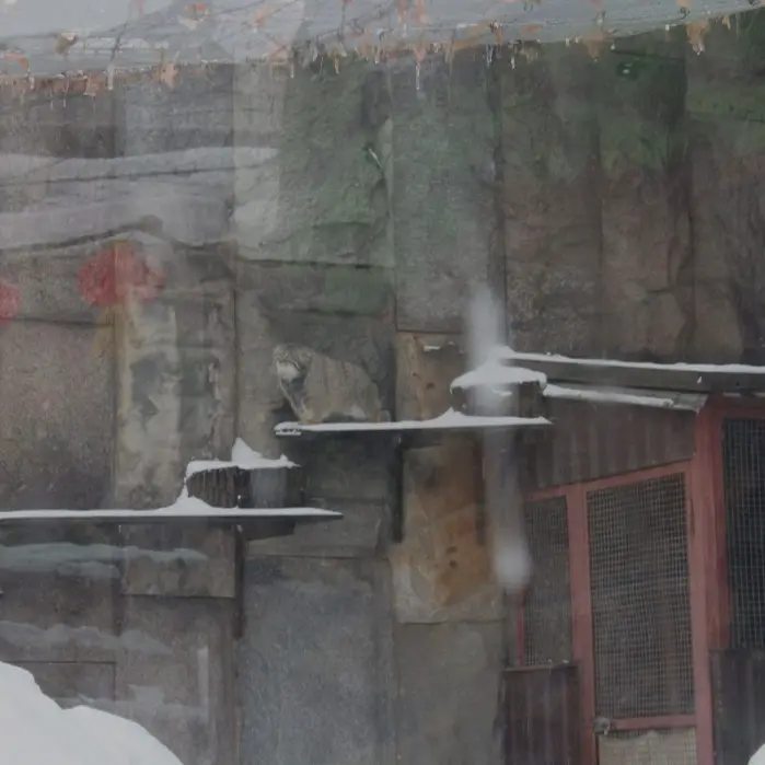 A photograph of Timofey in Moscow zoo