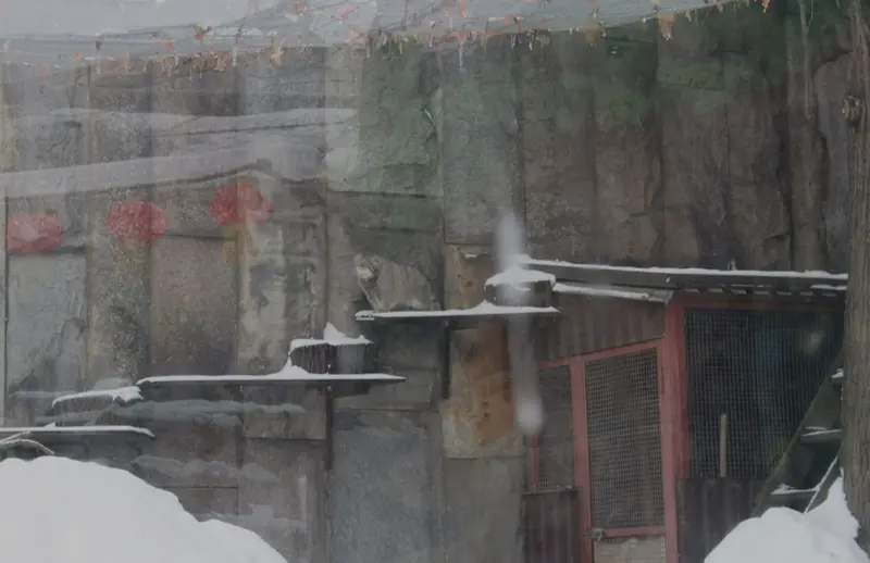 A photograph of Timofey in Moscow zoo
