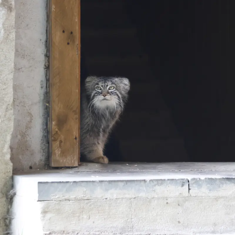 A photograph of Timofey in Moscow zoo