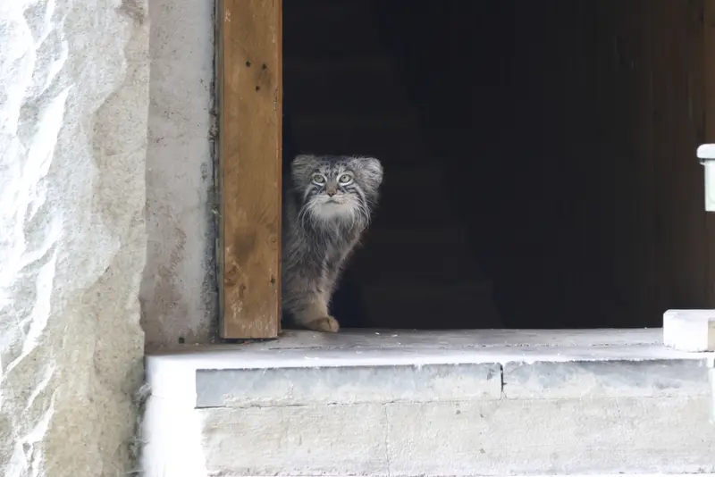 A photograph of Timofey in Moscow zoo