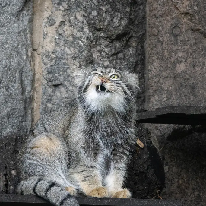 A photograph of Timofey in Moscow zoo
