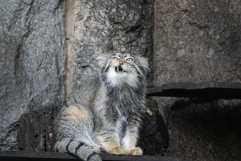 A photograph of Timofey in Moscow zoo