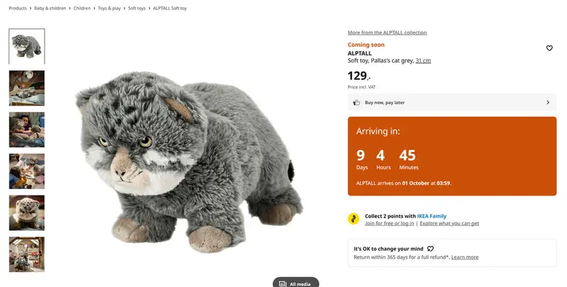 A photograph of a Pallas's cat
