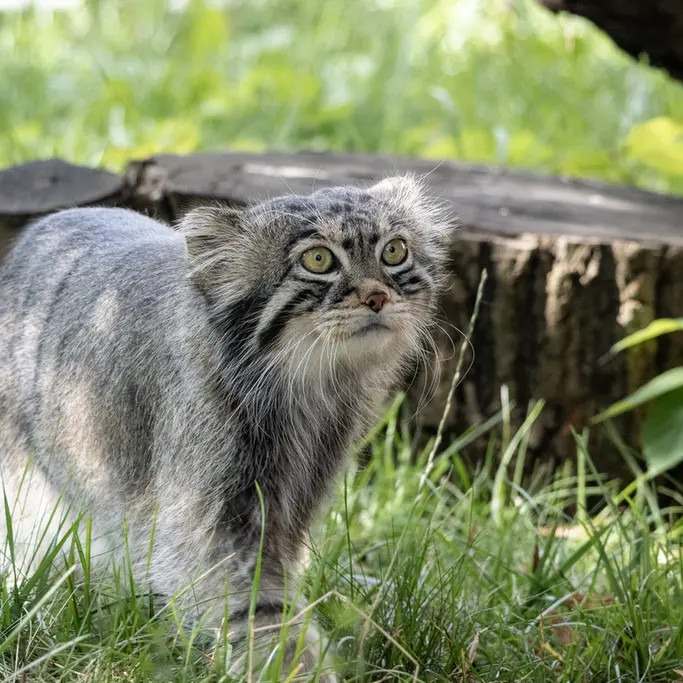 A photograph of Timofey in Moscow zoo