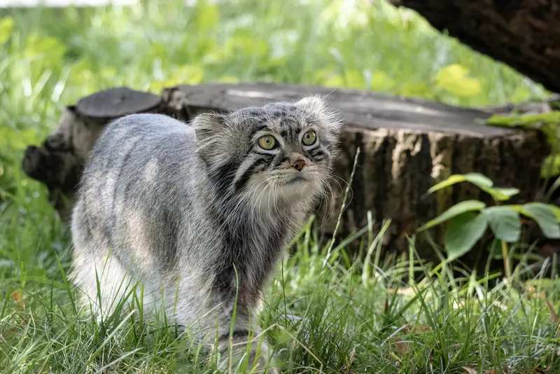A photograph of Timofey in Moscow zoo