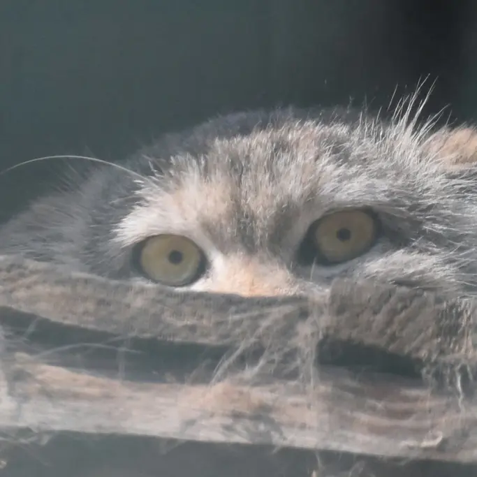 A photograph of Lucy in Budapest Zoo & Botanical Garden