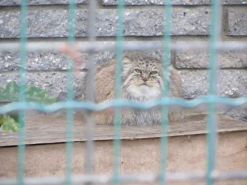 A photograph of Manuela in Magdeburg Zoo