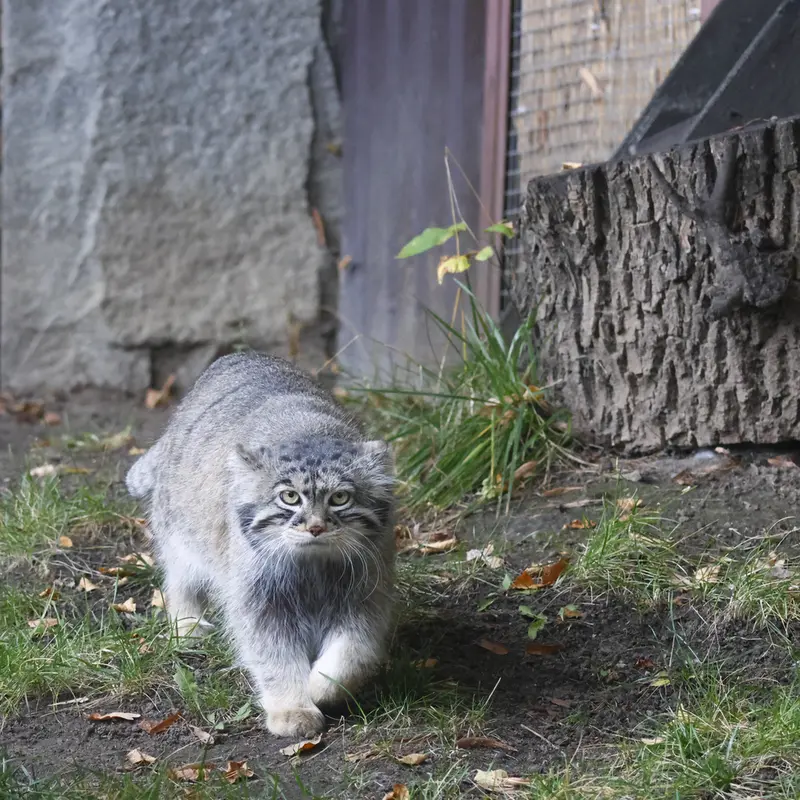 A photograph of Timofey in Moscow zoo