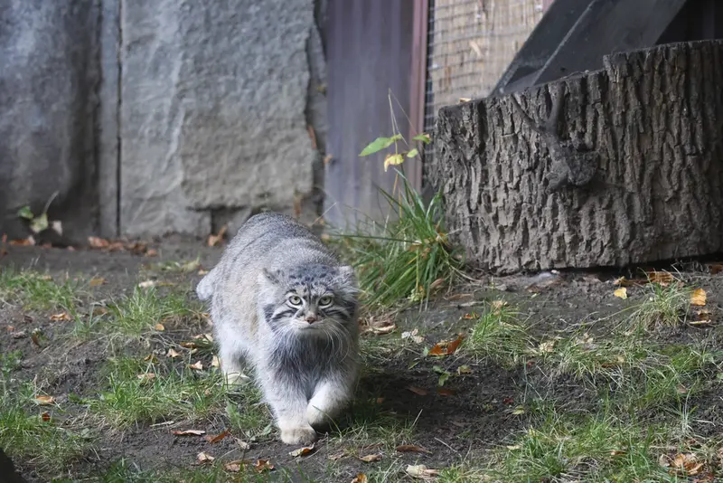 A photograph of Timofey in Moscow zoo