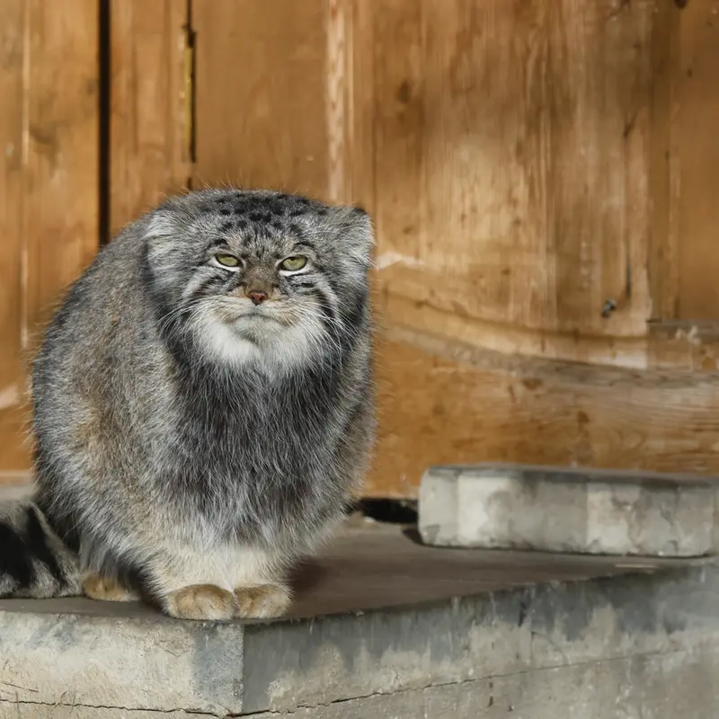 A photograph of Timofey in Moscow zoo