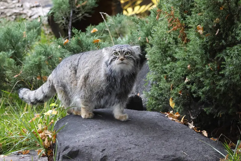 A photograph of Timofey in Moscow zoo