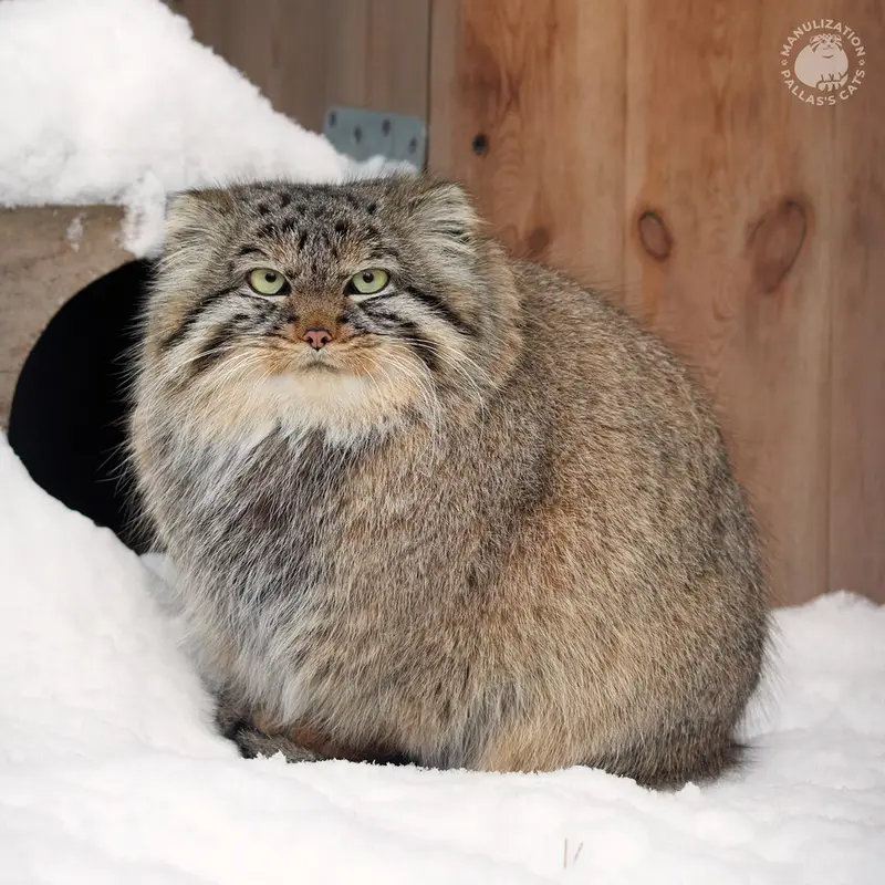A photograph of Gabi in Novosibirsk Zoo