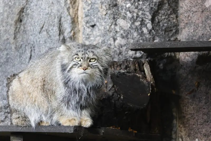 A photograph of Timofey in Moscow zoo