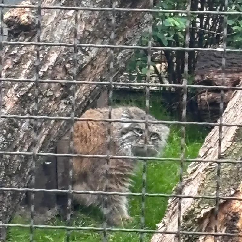 A photograph of Jessie in Warsaw Zoo
