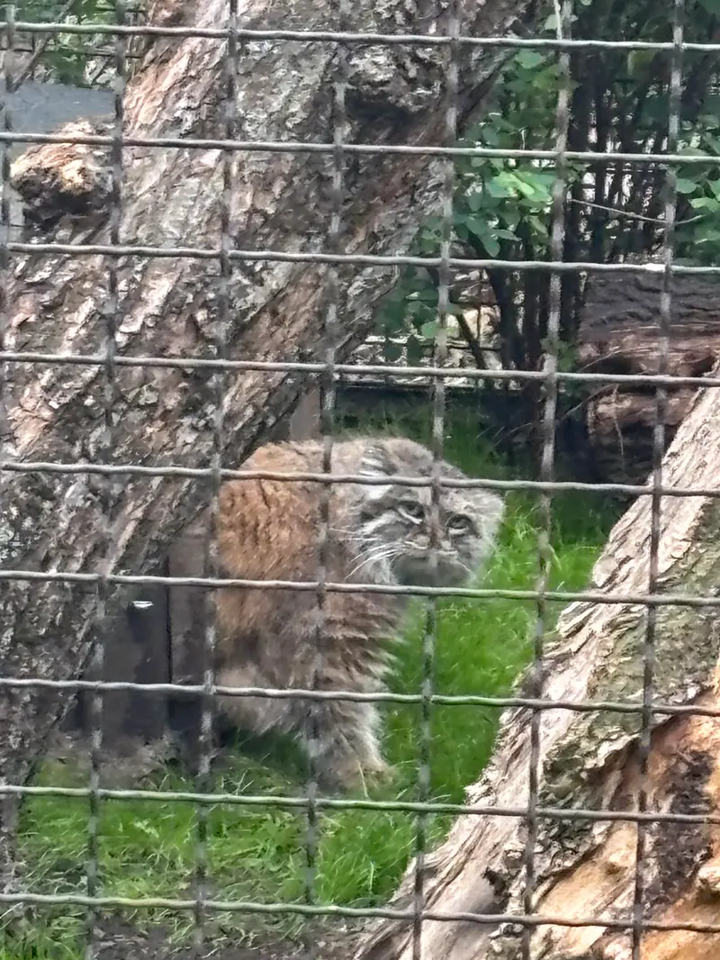 A photograph of Jessie in Warsaw Zoo