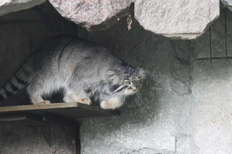 A photograph of Timofey in Moscow zoo