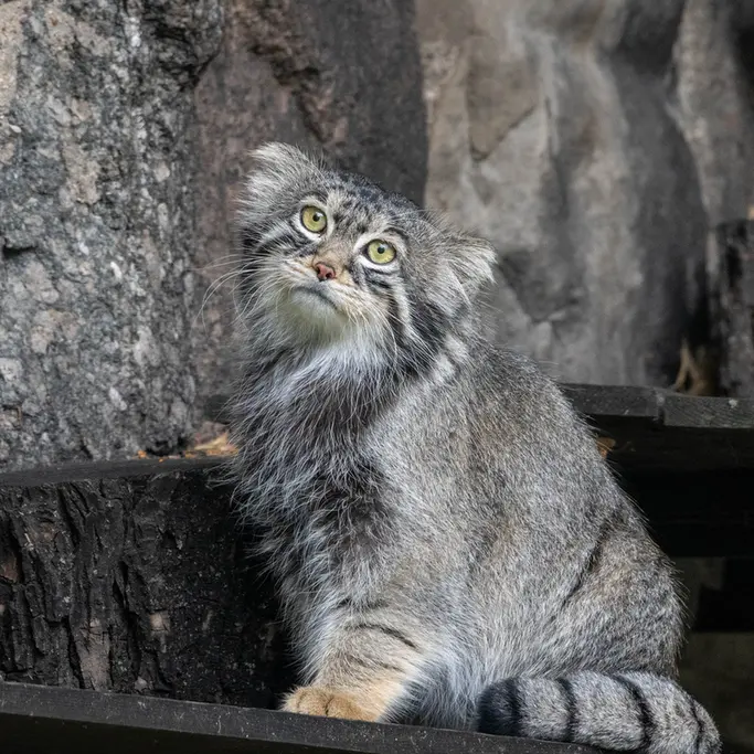 A photograph of Timofey in Moscow zoo
