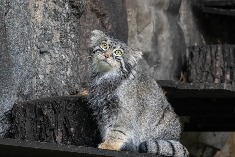 A photograph of Timofey in Moscow zoo