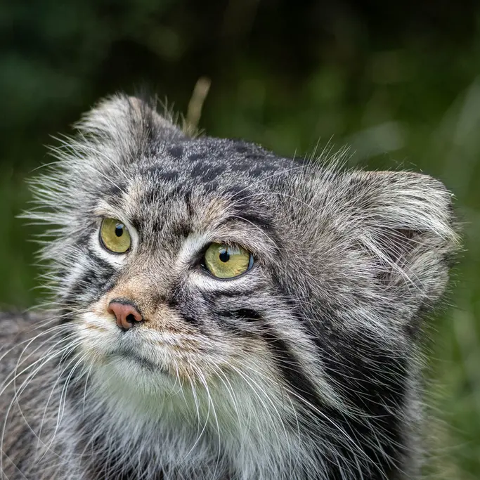 A photograph of Timofey in Moscow zoo
