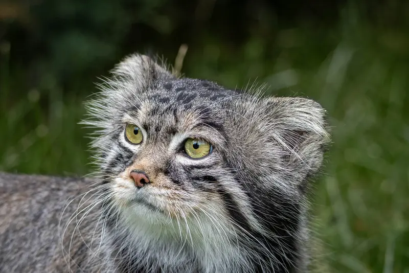 A photograph of Timofey in Moscow zoo