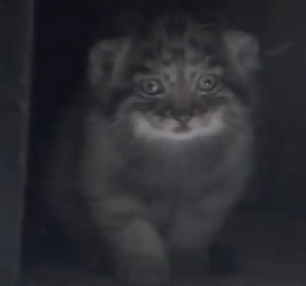 A photograph of Sebastian in Ueno Zoological Gardens