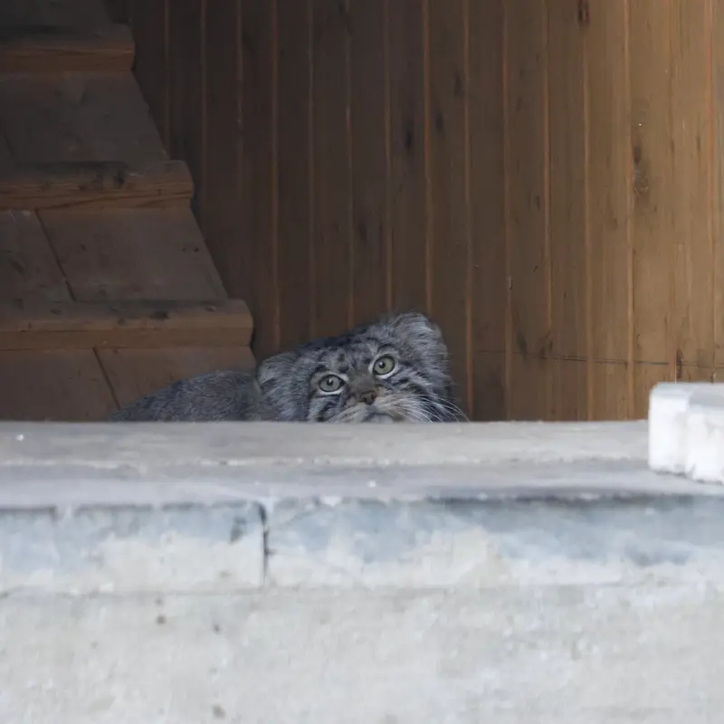 A photograph of Timofey in Moscow zoo