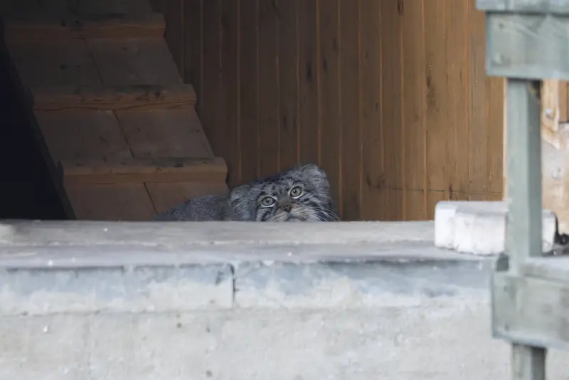 A photograph of Timofey in Moscow zoo