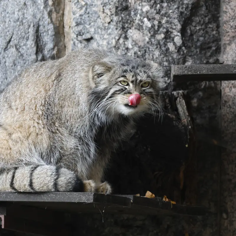 A photograph of Timofey in Moscow zoo